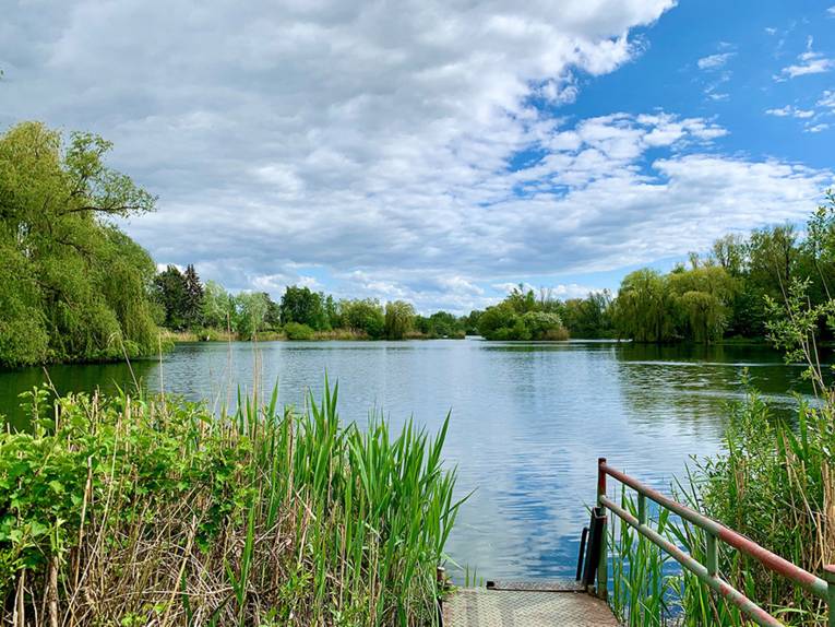 Steg, der zu einem See führt.